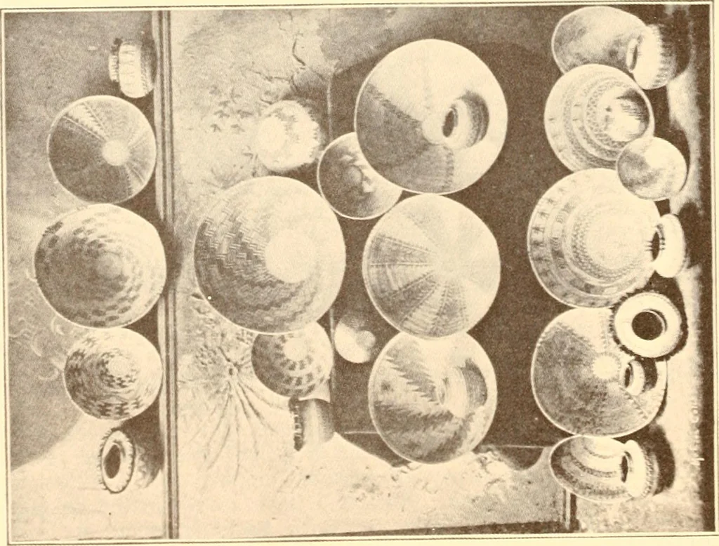 An illustration from Indian basketry, and How to make Indian and other baskets, 1903, leaf 75
