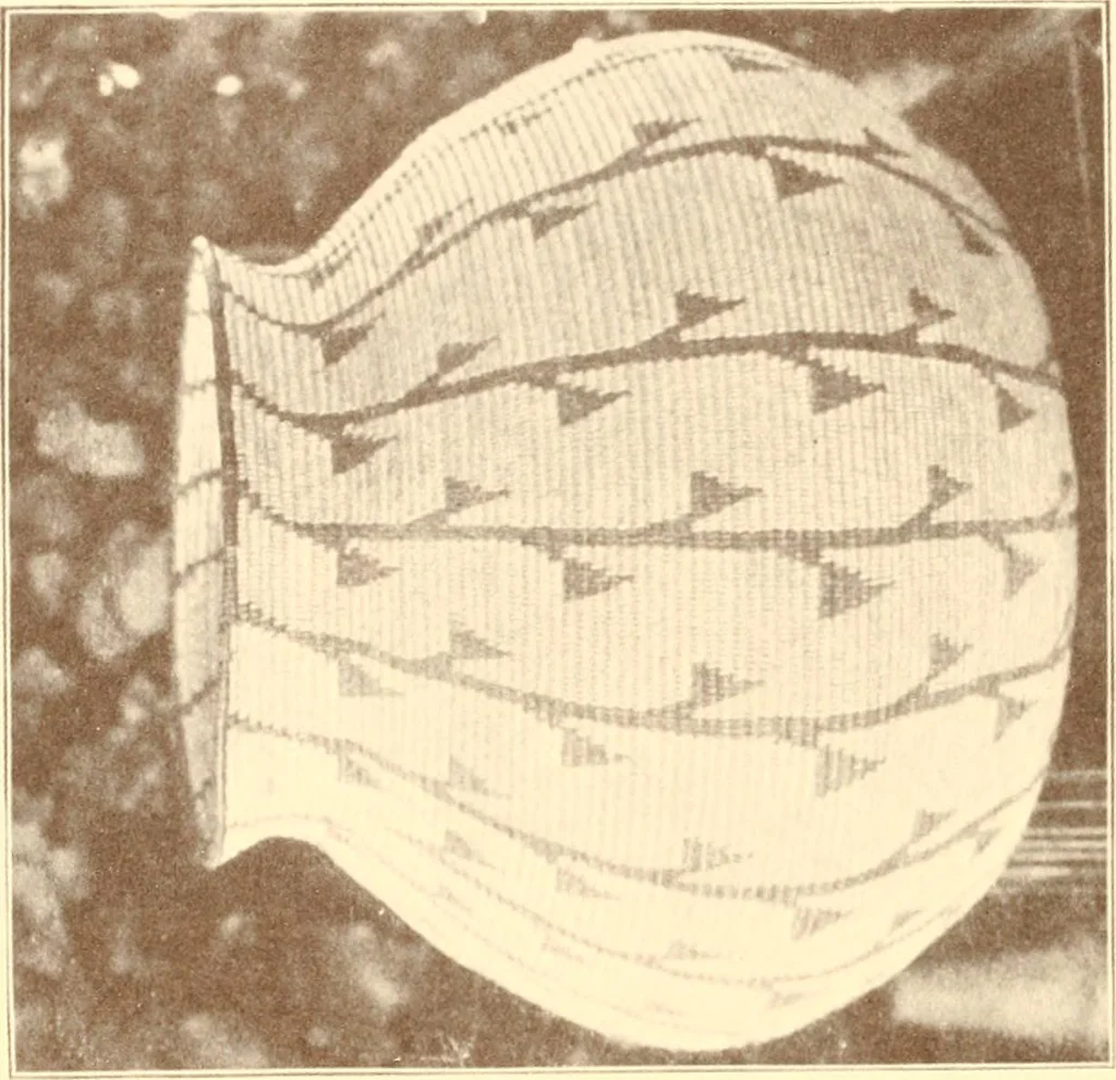 An illustration from Indian basketry, and How to make Indian and other baskets, 1903, leaf 77