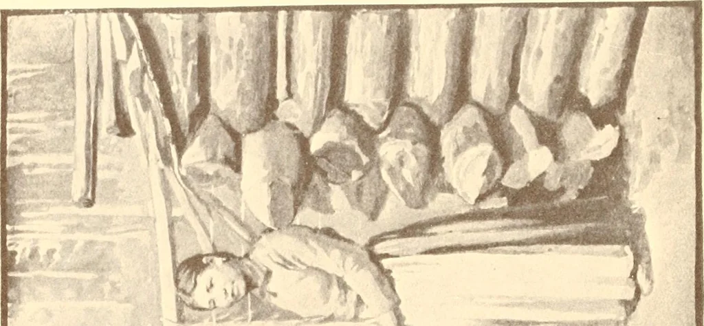 An illustration from Indian basketry, and How to make Indian and other baskets, 1903, leaf 79