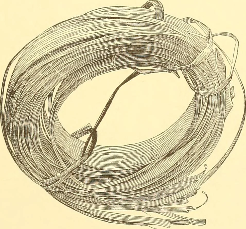 An illustration from Indian basketry, and How to make Indian and other baskets, 1903, leaf 80