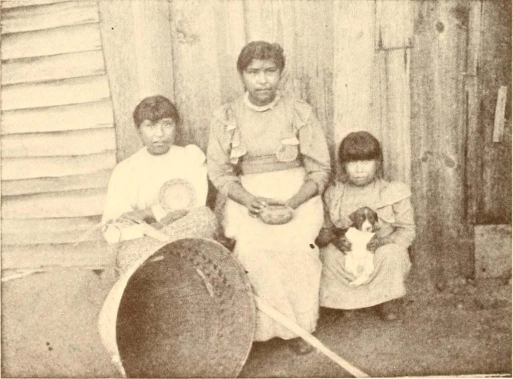 An illustration from Indian basketry, and How to make Indian and other baskets, 1903, leaf 81