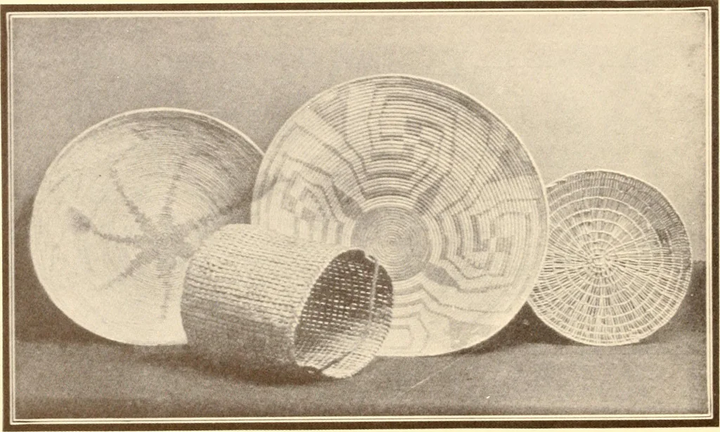 An illustration from Indian basketry, and How to make Indian and other baskets, 1903, leaf 87