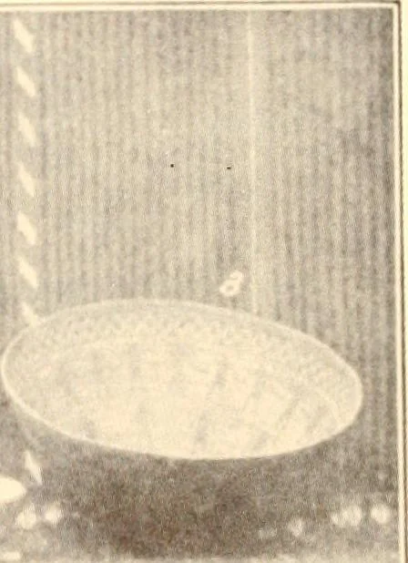 An illustration from Indian basketry, and How to make Indian and other baskets, 1903, leaf 91