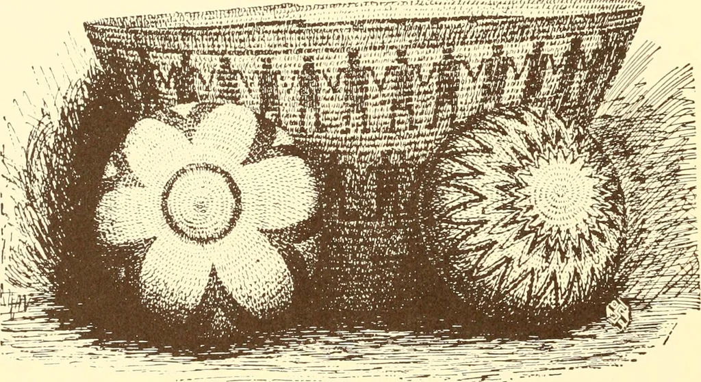 An illustration from Indian basketry, and How to make Indian and other baskets, 1903, leaf 93