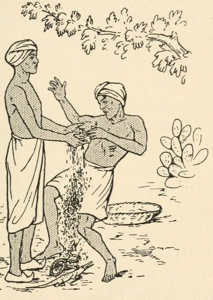 An illustration from Indian conjuring, 1922, leaf 123