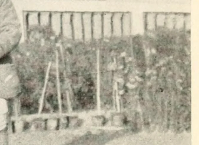 An illustration from Indian conjuring, 1922, leaf 87
