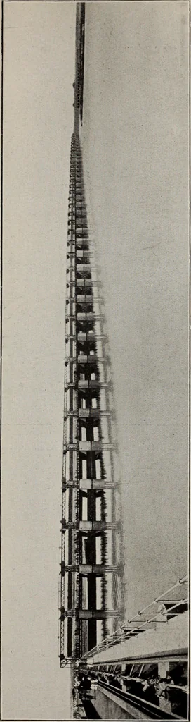 An illustration from Indian cotton, 1915, leaf 100