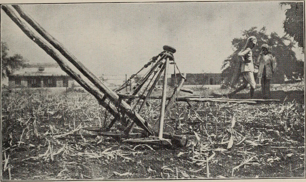 An illustration from Indian cotton, 1915, leaf 144