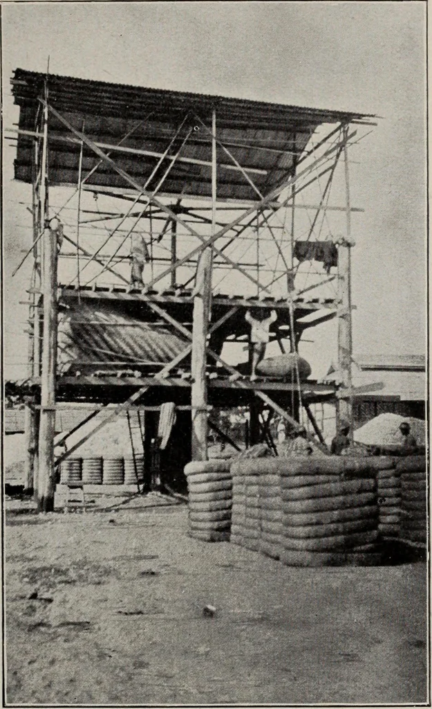 An illustration from Indian cotton, 1915, leaf 214
