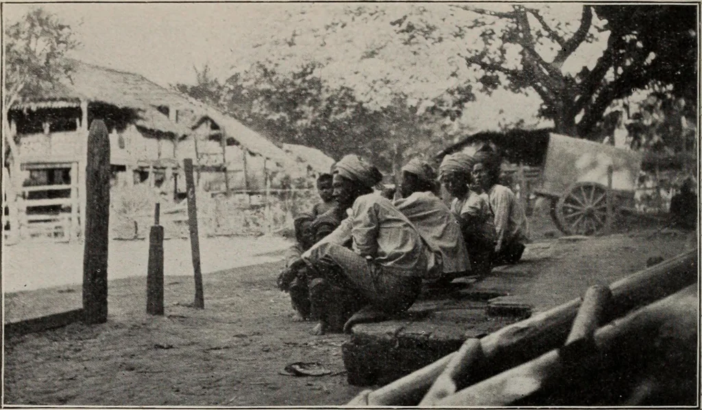 An illustration from Indian cotton, 1915, leaf 219