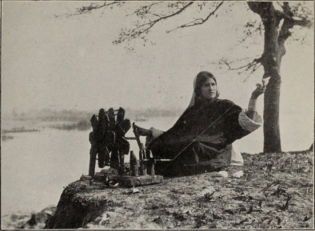 An illustration from Indian cotton, 1915, leaf 228