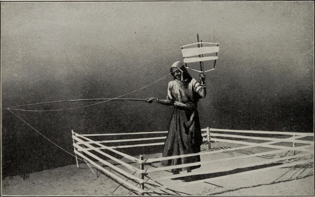 An illustration from Indian cotton, 1915, leaf 229