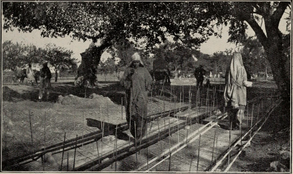 An illustration from Indian cotton, 1915, leaf 230