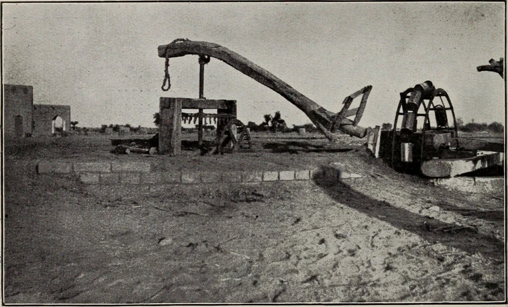 An illustration from Indian cotton, 1915, leaf 37