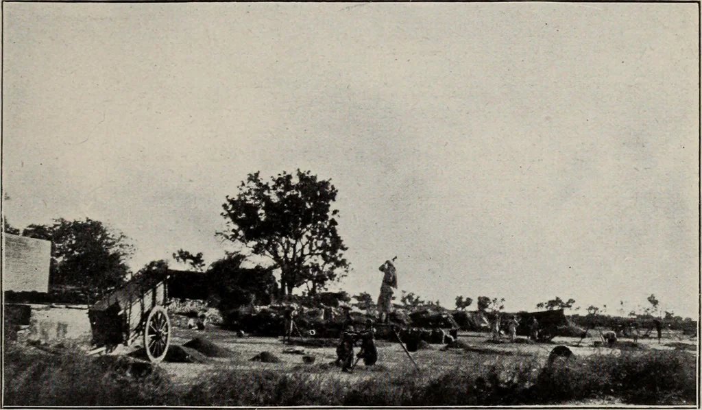 An illustration from Indian cotton, 1915, leaf 40