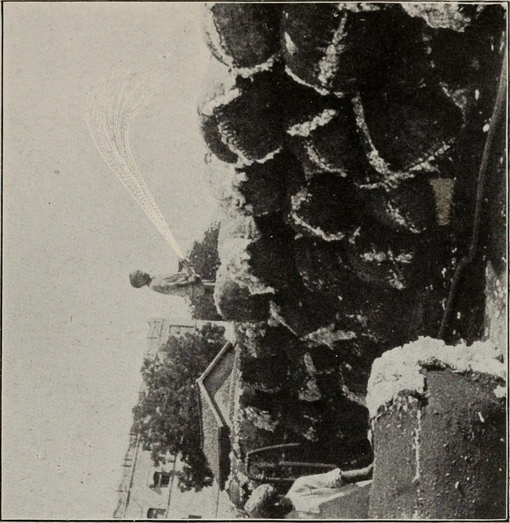 An illustration from Indian cotton, 1915, leaf 78