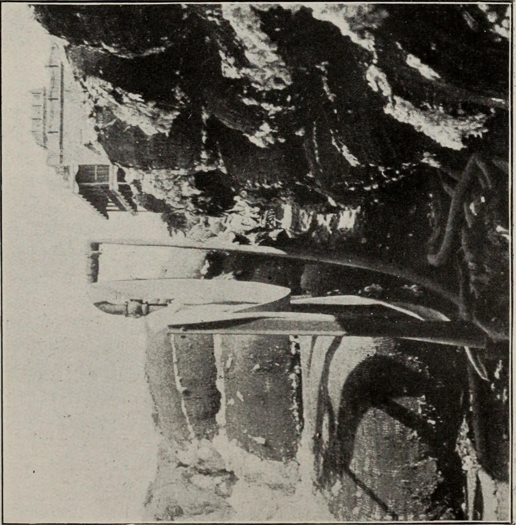 An illustration from Indian cotton, 1915, leaf 78