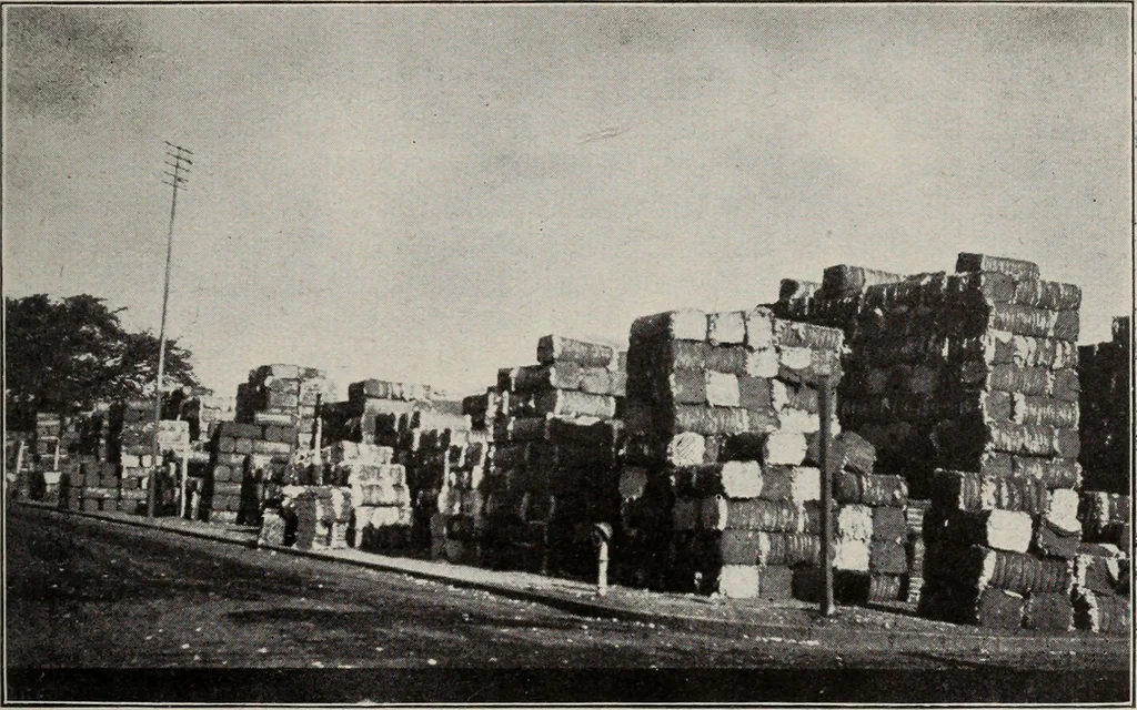 An illustration from Indian cotton, 1915, leaf 84