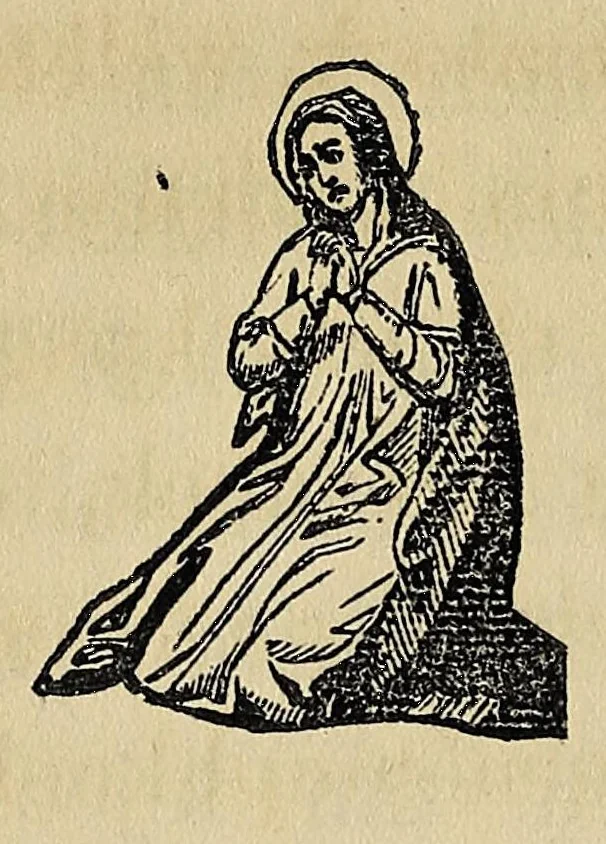 An illustration from Indian good book, 1857, leaf 250
