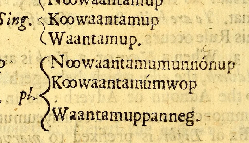 An illustration from The Indian grammar begun: or, An essay to bring the Indian language into rules, for the help of such as desire to learn the same, for the furtherance of the Gospel among them., 1666, leaf 38