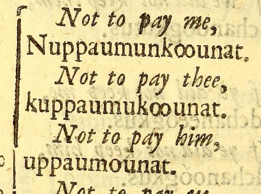 An illustration from The Indian grammar begun: or, An essay to bring the Indian language into rules, for the help of such as desire to learn the same, for the furtherance of the Gospel among them., 1666, leaf 72