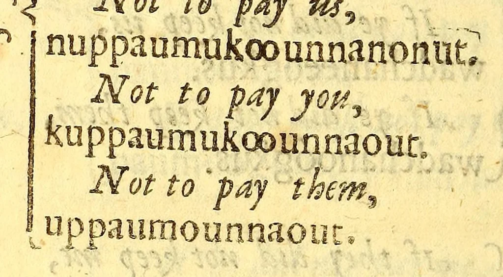 An illustration from The Indian grammar begun: or, An essay to bring the Indian language into rules, for the help of such as desire to learn the same, for the furtherance of the Gospel among them., 1666, leaf 72