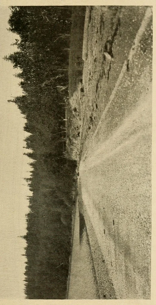 An illustration from Indian houses of Puget Sound, 1921, leaf 37