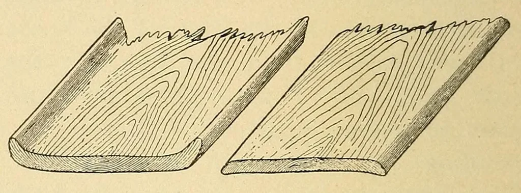 An illustration from Indian houses of Puget Sound, 1921, leaf 48