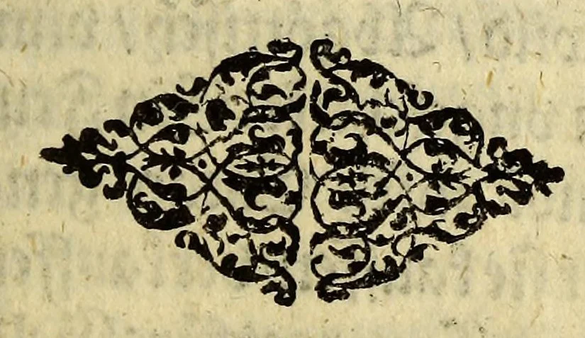 An illustration from Indianischer religionstandt der gantzen Newen Welt, eider Indien gegen auff und Nidergang der Sonnen: : |b schleinigister Form auss gründtlichen Historien, sonderbar dess hochwürdigen Vatters Francisci Gonzagen, barfüsserische[n] Ordnescroniken, 1588, leaf 217