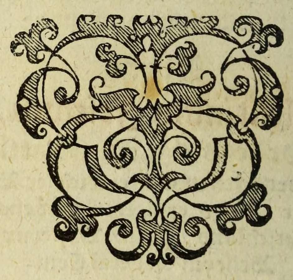 An illustration from Indianischer religionstandt der gantzen Newen Welt, eider Indien gegen auff und Nidergang der Sonnen: : |b schleinigister Form auss gründtlichen Historien, sonderbar dess hochwürdigen Vatters Francisci Gonzagen, barfüsserische[n] Ordnescroniken, 1588, leaf 8