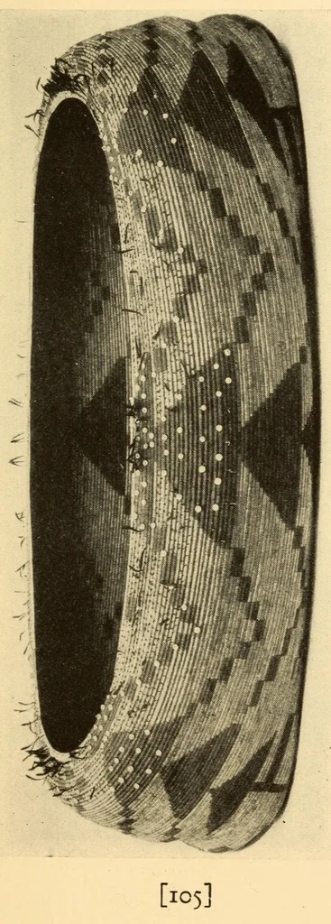 An illustration from Indian notes, 1924, leaf 115