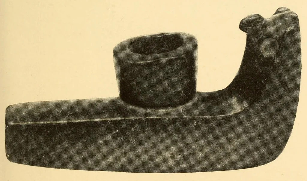 An illustration from Indian notes, 1924, leaf 127