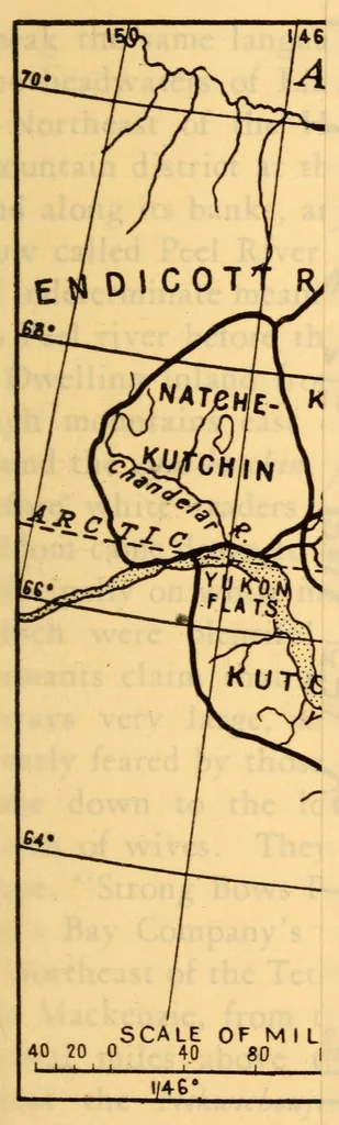 An illustration from Indian notes, 1924, leaf 195