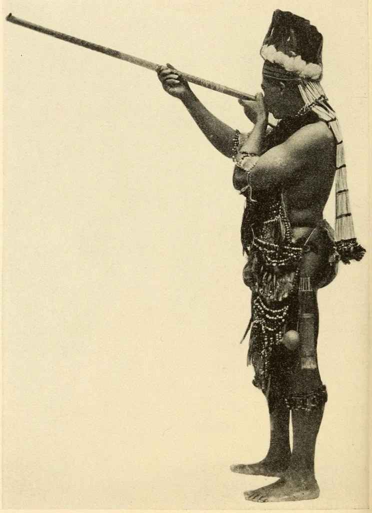 An illustration from Indian notes, 1924, leaf 240