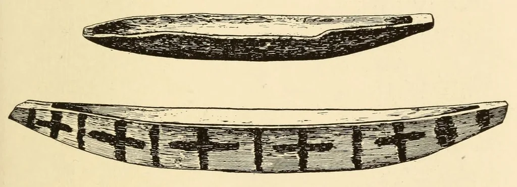 An illustration from Indian notes, 1924, leaf 249