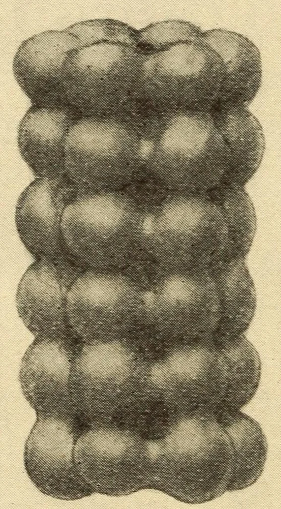 An illustration from Indian notes, 1924, leaf 56