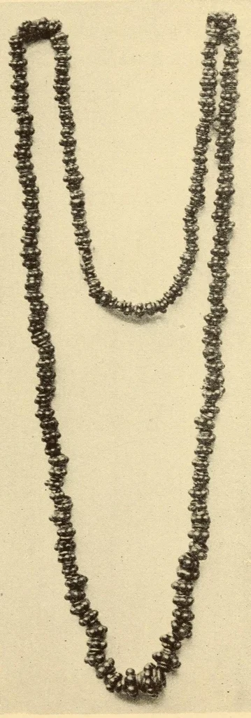 An illustration from Indian notes, 1924, leaf 61