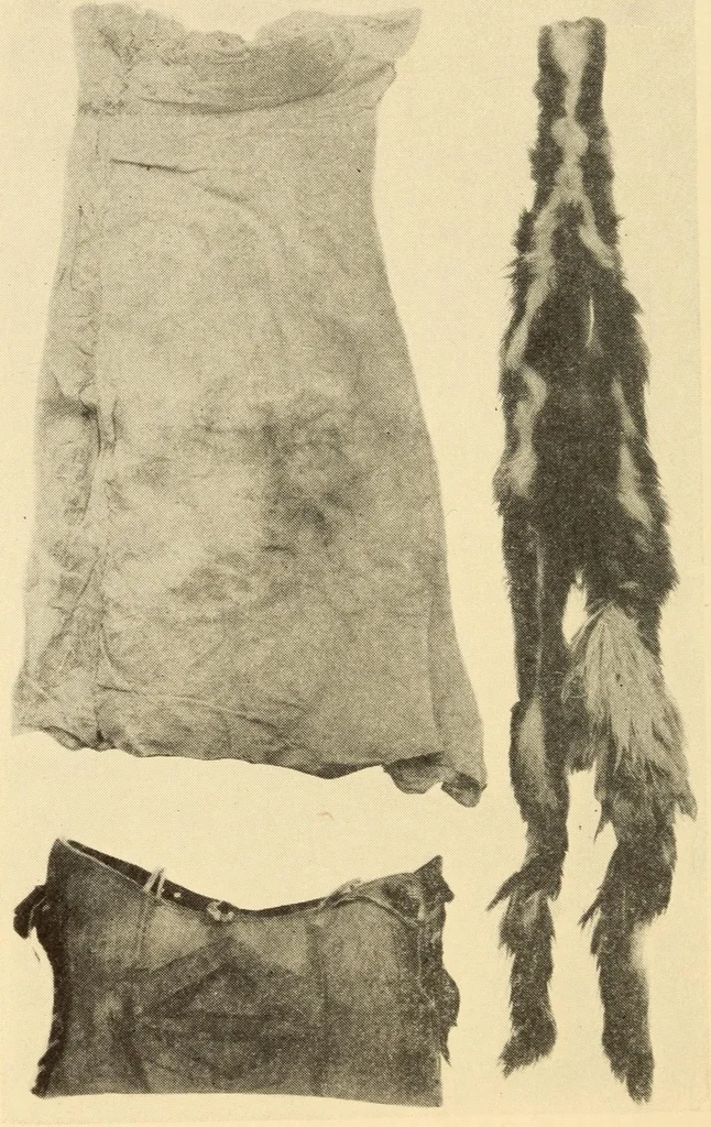 An illustration from Indian notes, 1924, leaf 122