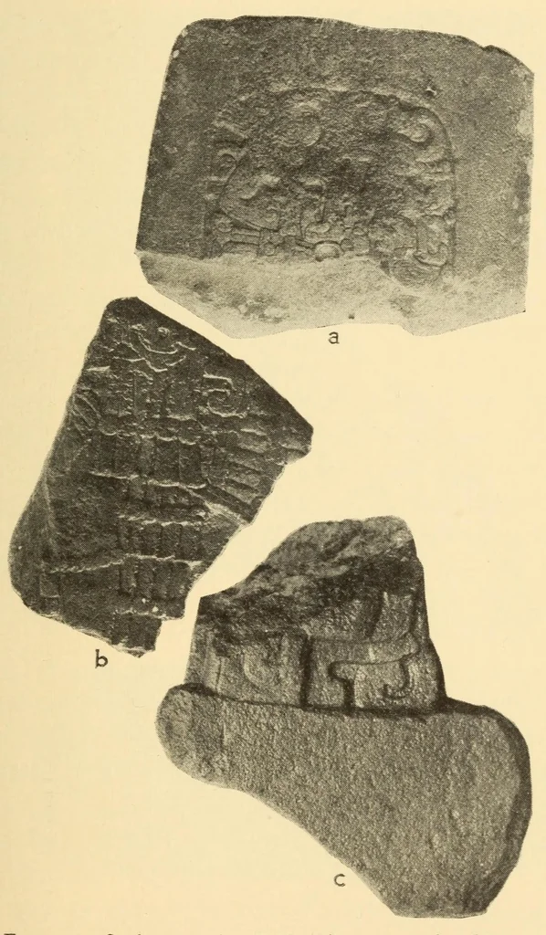 An illustration from Indian notes, 1924, leaf 173