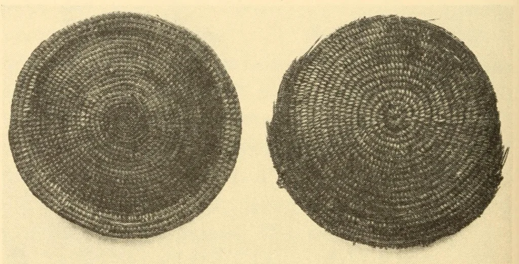 An illustration from Indian notes, 1924, leaf 216