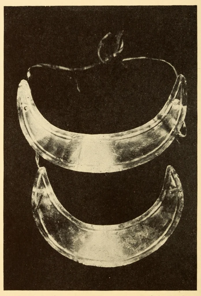 An illustration from Indian notes, 1924, leaf 272