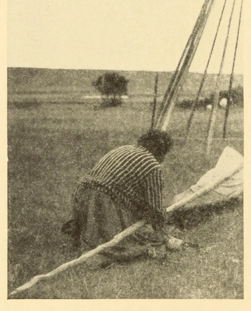 An illustration from Indian notes, 1924, leaf 28