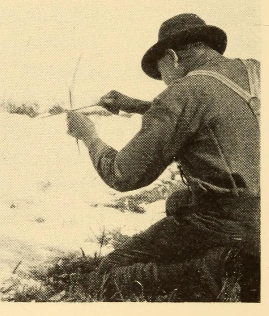 An illustration from Indian notes, 1924, leaf 28