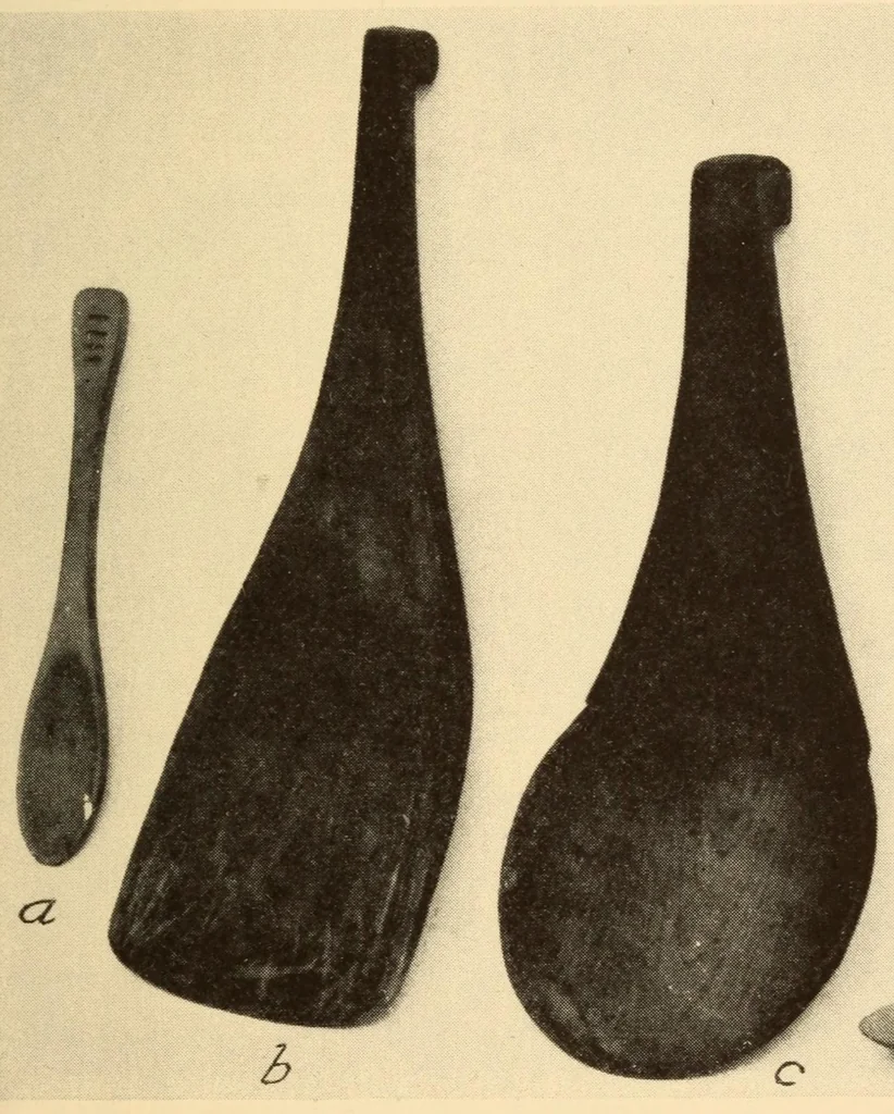 An illustration from Indian notes, 1924, leaf 43