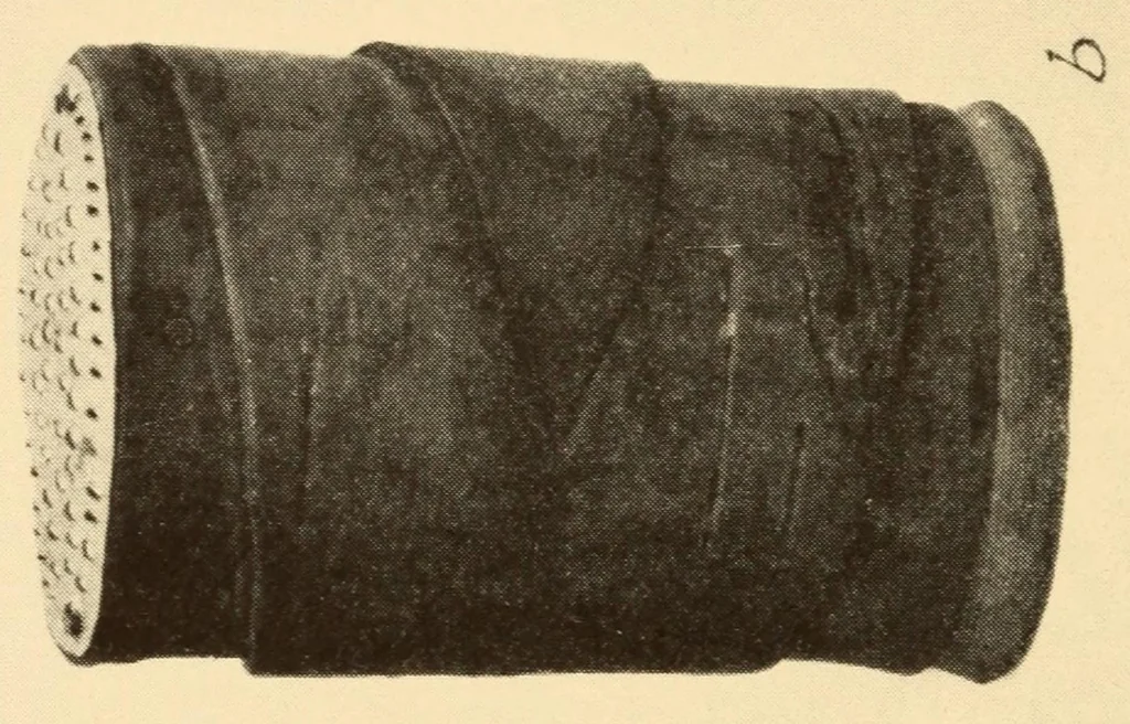 An illustration from Indian notes, 1924, leaf 46