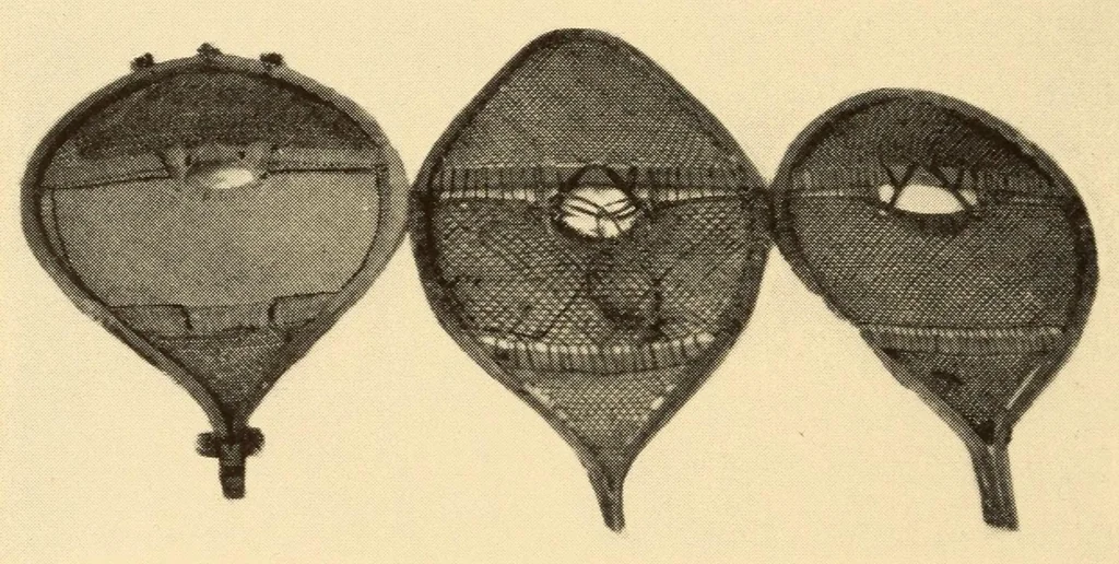 An illustration from Indian notes, 1924, leaf 54
