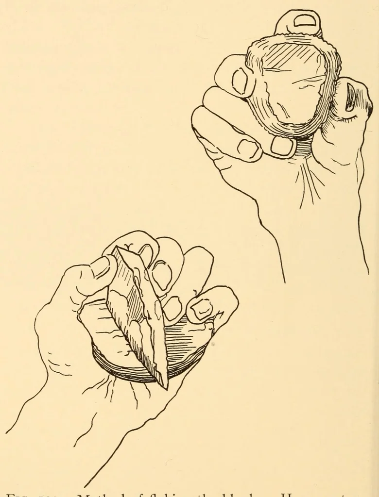 An illustration from Indian notes, 1924, leaf 60