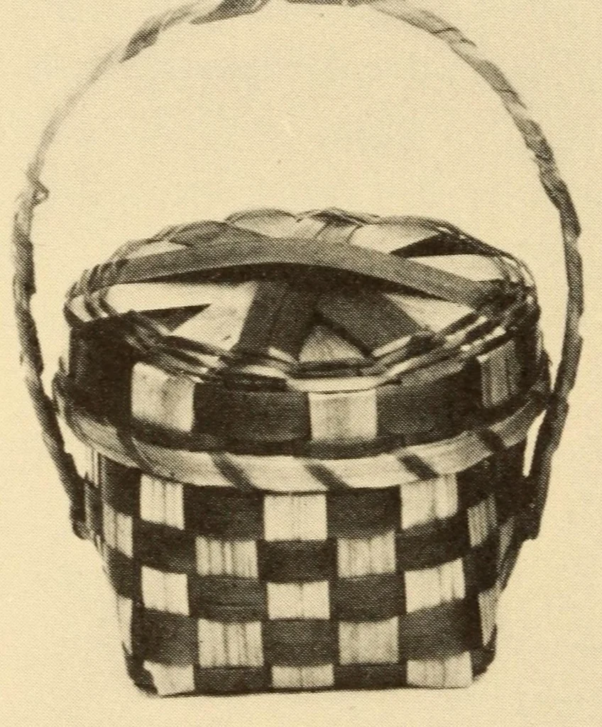An illustration from Indian notes, 1924, leaf 78