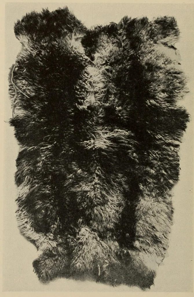 An illustration from The Indians of Tierra del Fuego, 1928, leaf 144