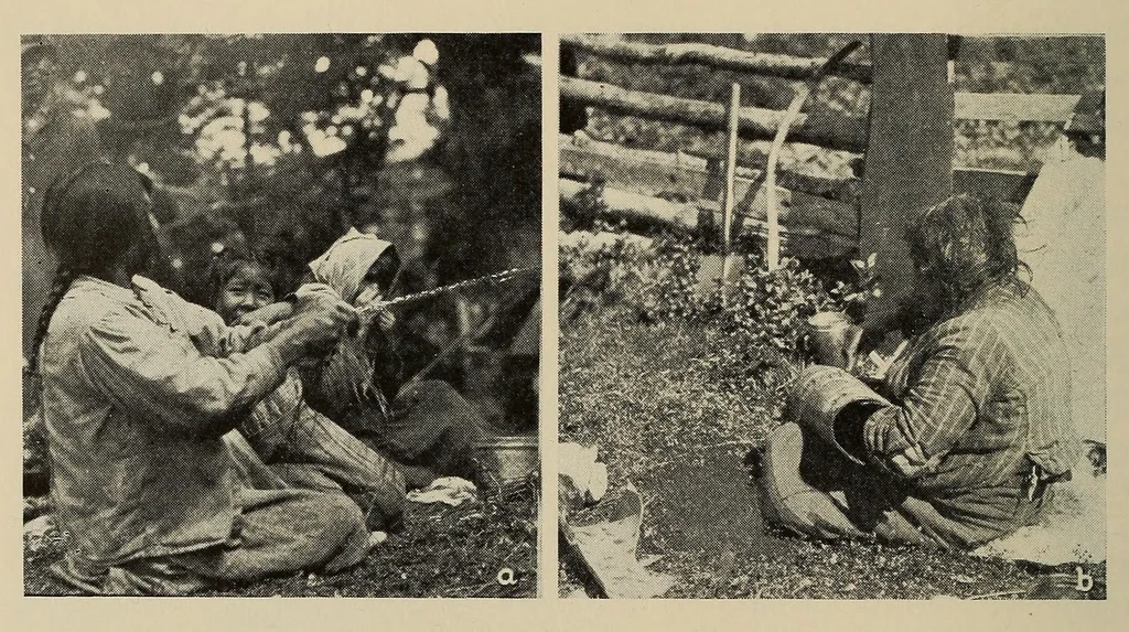 An illustration from The Indians of Tierra del Fuego, 1928, leaf 156